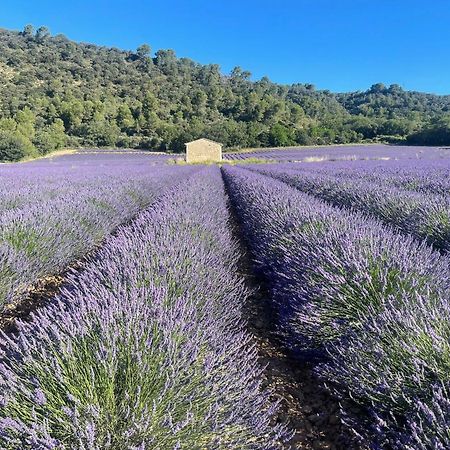 Coeur De Provence Daire Gréoux-les-Bains Dış mekan fotoğraf