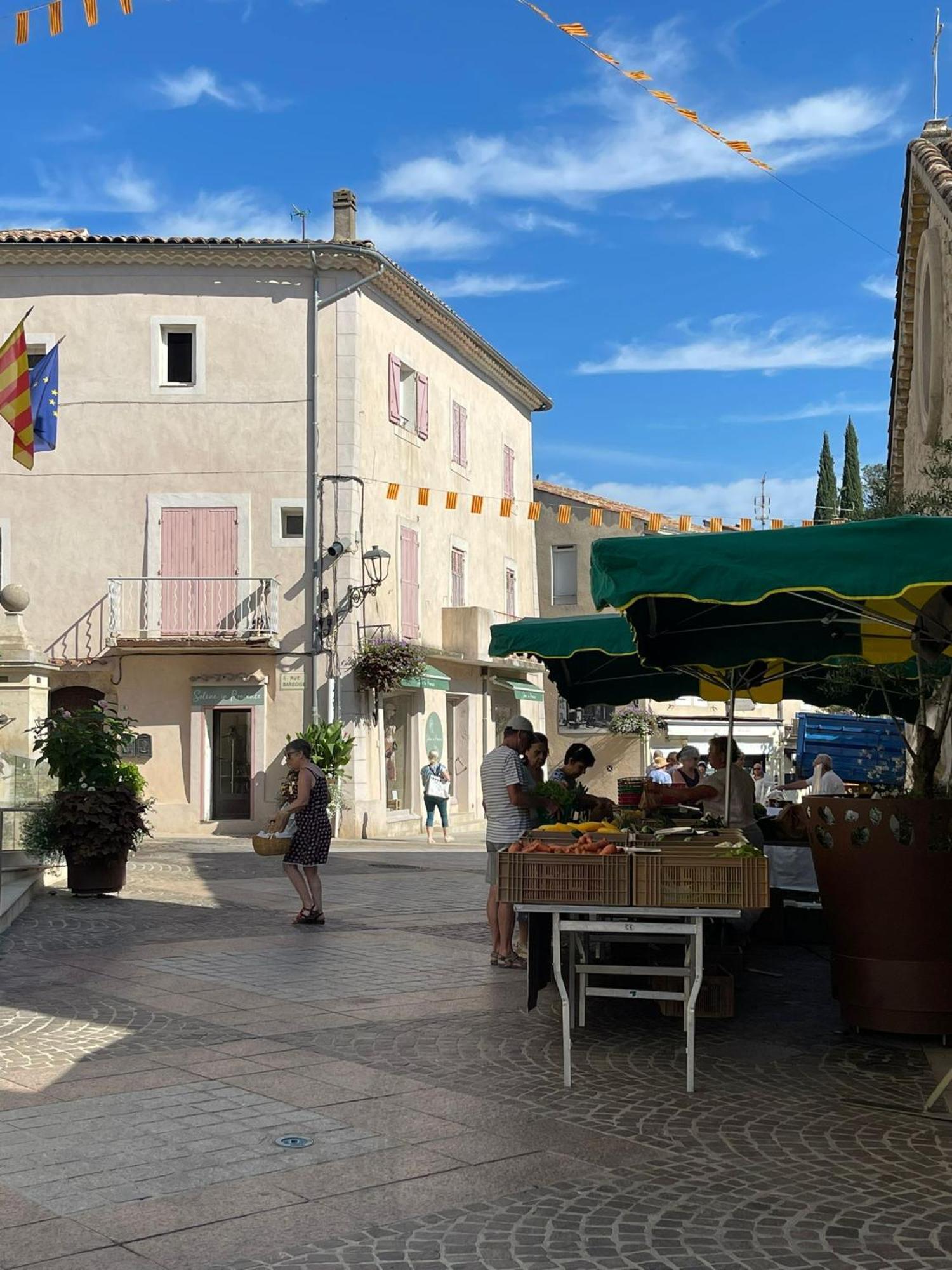 Coeur De Provence Daire Gréoux-les-Bains Dış mekan fotoğraf